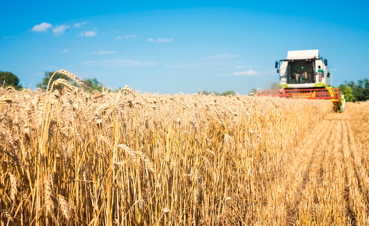 Сельскохозяйственные кооперативы: преимущества совместного владения и управления